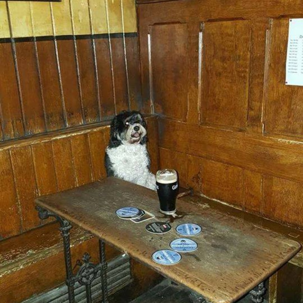 Meet your Posher, Sean